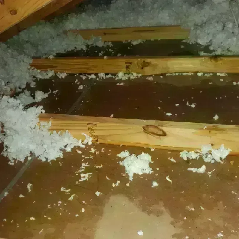 Attic Water Damage in Lee County, IA