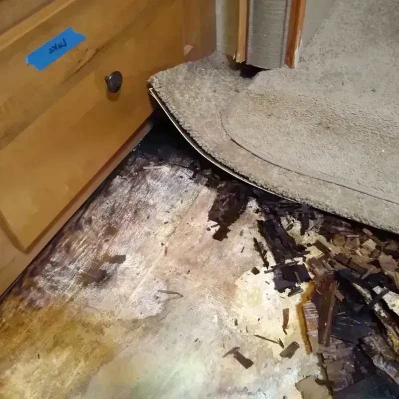 Wood Floor Water Damage in Lee County, IA